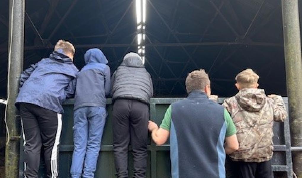 Four children looking over a farm gate into a building with Solidarity Farm founder John Harrison
