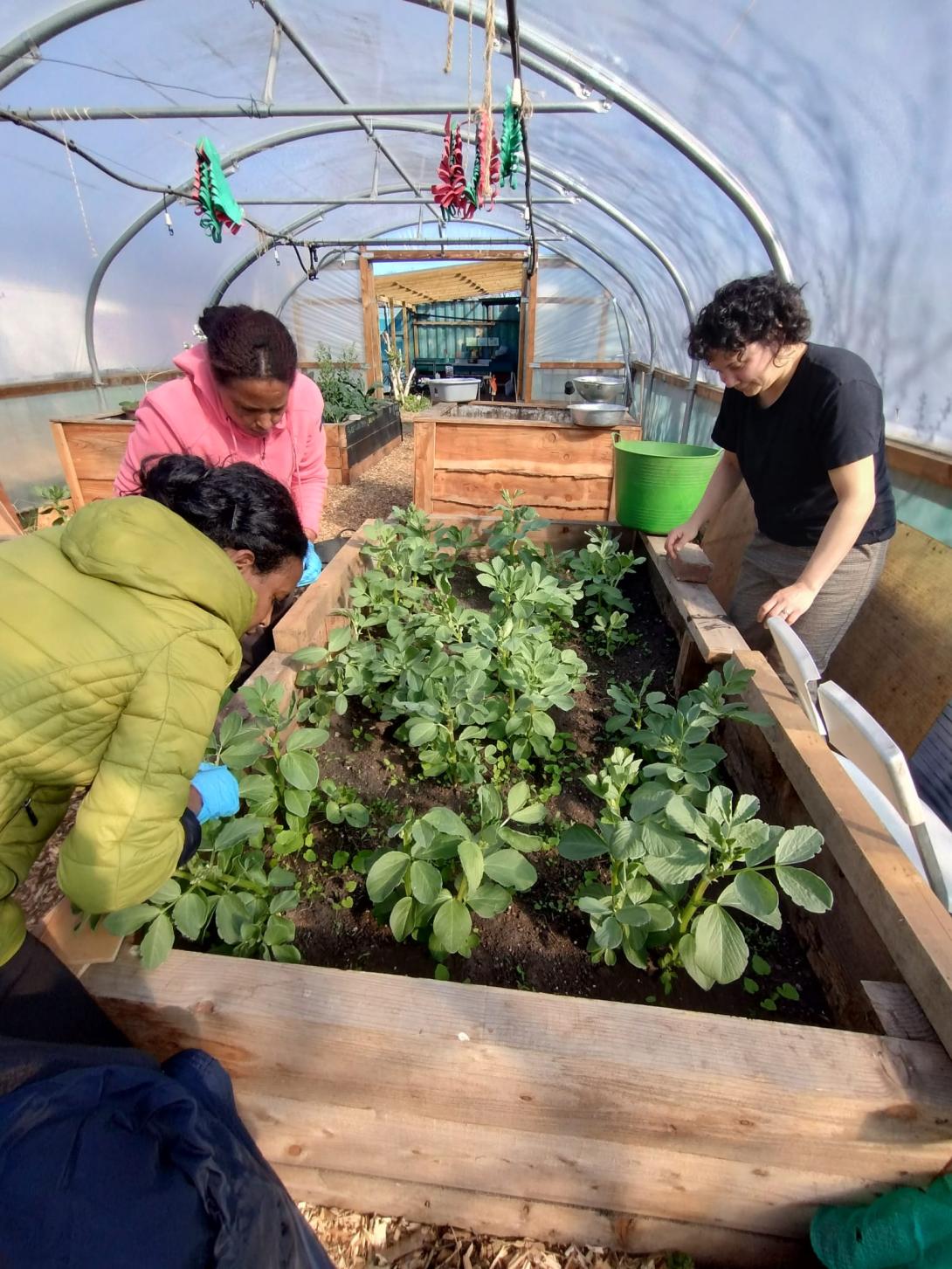 Maintenance being carried out on one of the GTL's raised beds